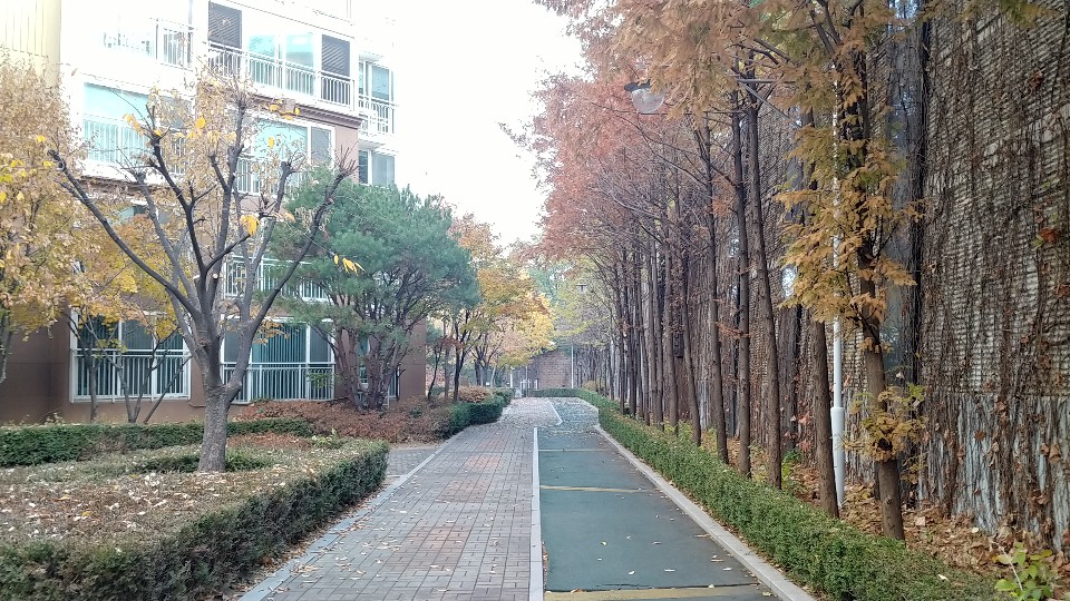 오늘 아침 서울 남가좌동 연희중학교 인근 아파트 단지 둘레길에서 찍은 가을 풍경입니다.